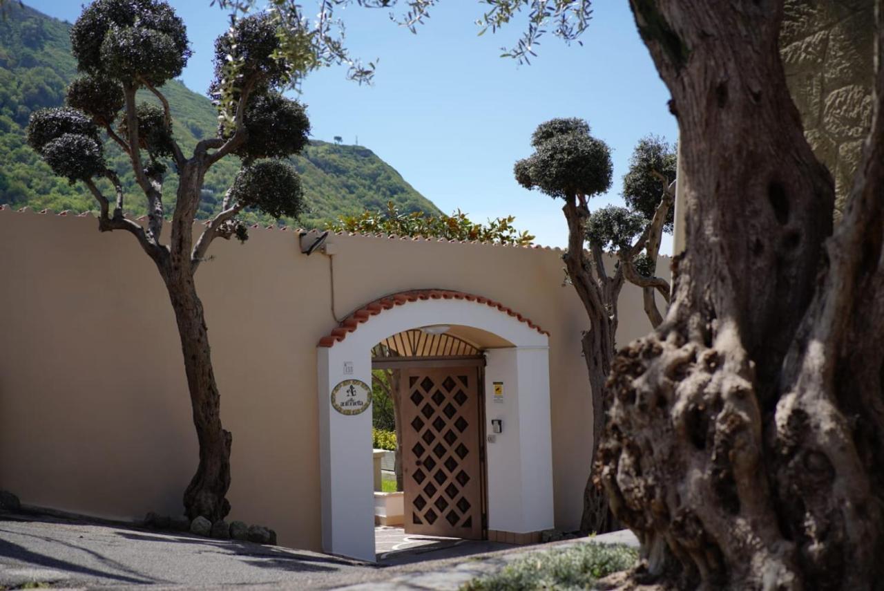 Villa Antonietta Ischia Zewnętrze zdjęcie
