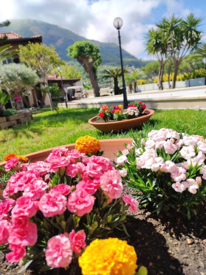 Villa Antonietta Ischia Zewnętrze zdjęcie