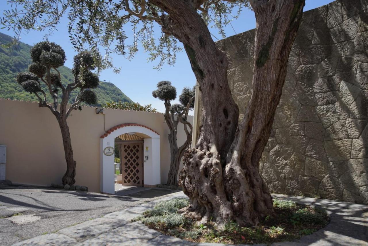 Villa Antonietta Ischia Zewnętrze zdjęcie