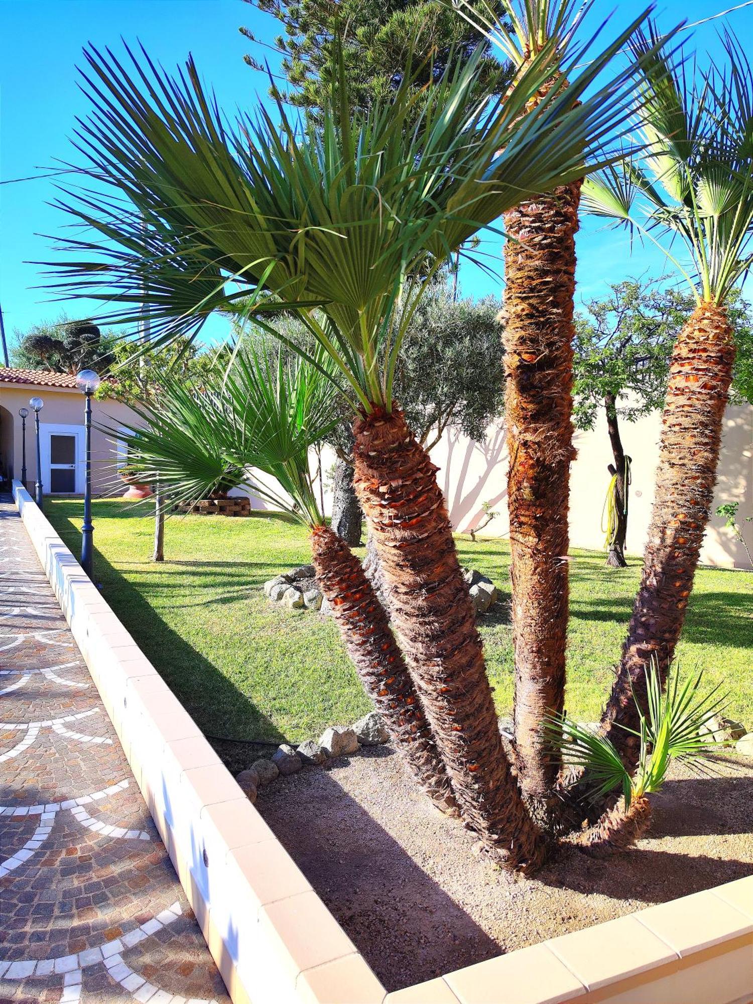 Villa Antonietta Ischia Zewnętrze zdjęcie